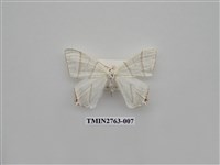 藏品(尺蛾332)的圖片